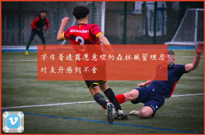 字母哥透露愿意续约森林狼管理层对麦丹感到不舍