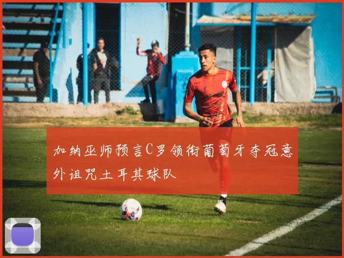 加纳巫师预言C罗领衔葡萄牙夺冠意外诅咒土耳其球队