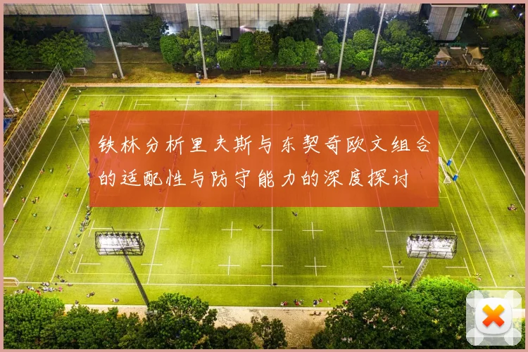 铁林分析里夫斯与东契奇欧文组合的适配性与防守能力的深度探讨
